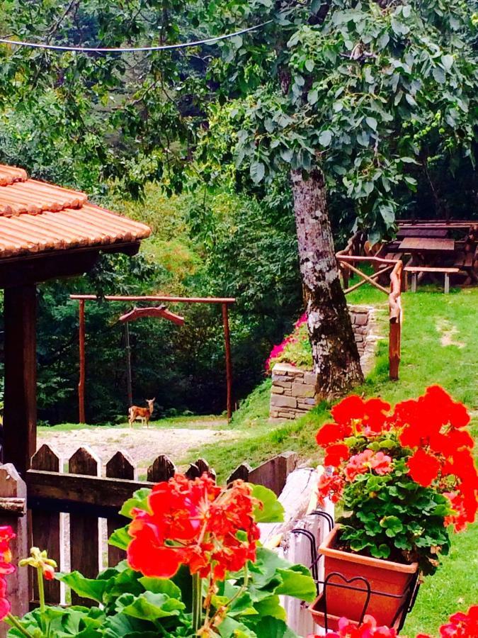 B&B La Presa Molino del Pallone Екстериор снимка