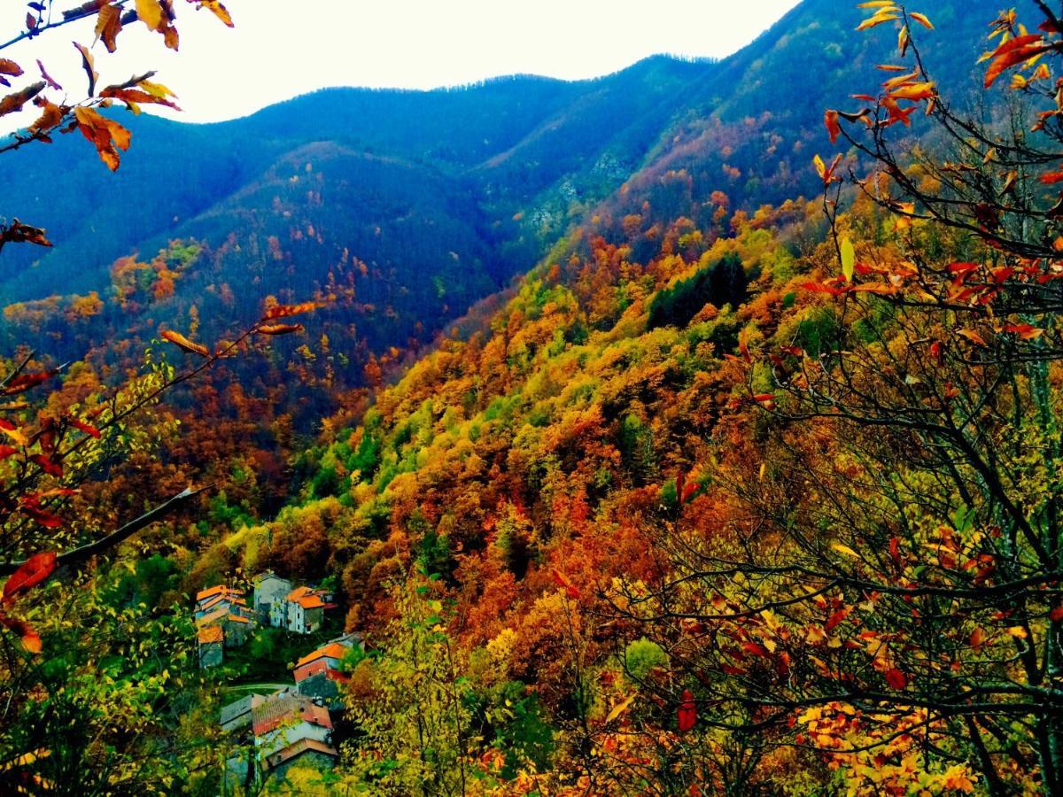 B&B La Presa Molino del Pallone Екстериор снимка